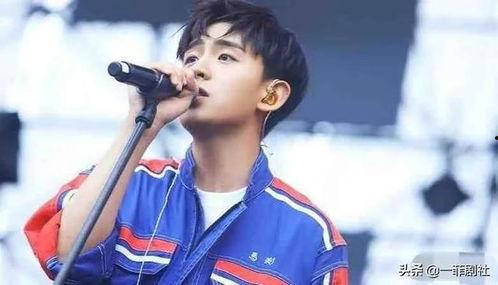 爆料焦迈奇小绵羊视频,揭秘歌手背后的温馨瞬间  第2张